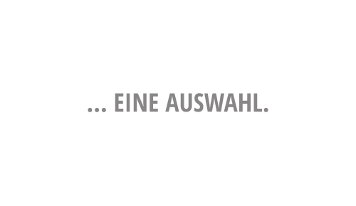 1_Kübler-Essig_Logo